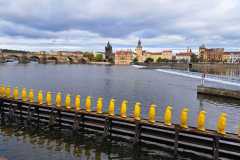 19.1-Pinguine_a2aec01b