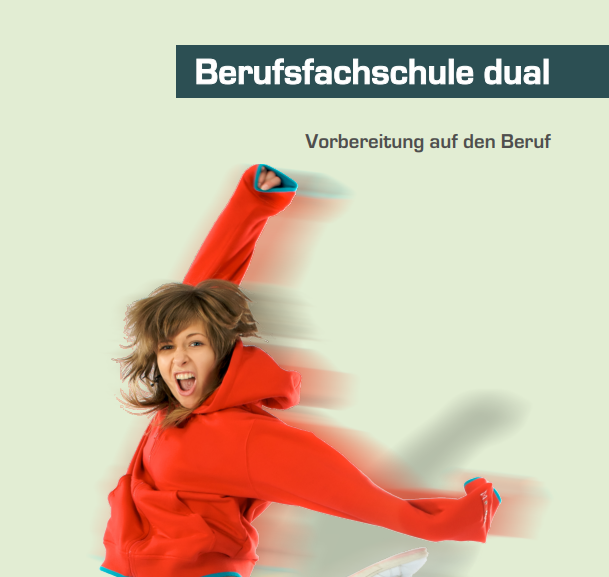 NEU – BFSdual